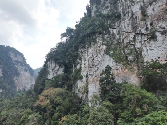 Karst Formasi Kuantan Silokek 